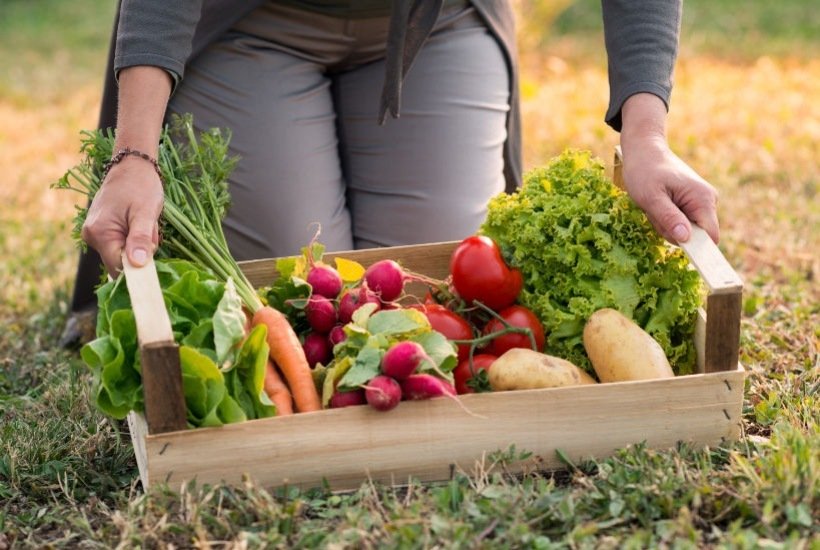 Légumes faciles à cultiver toute l’année