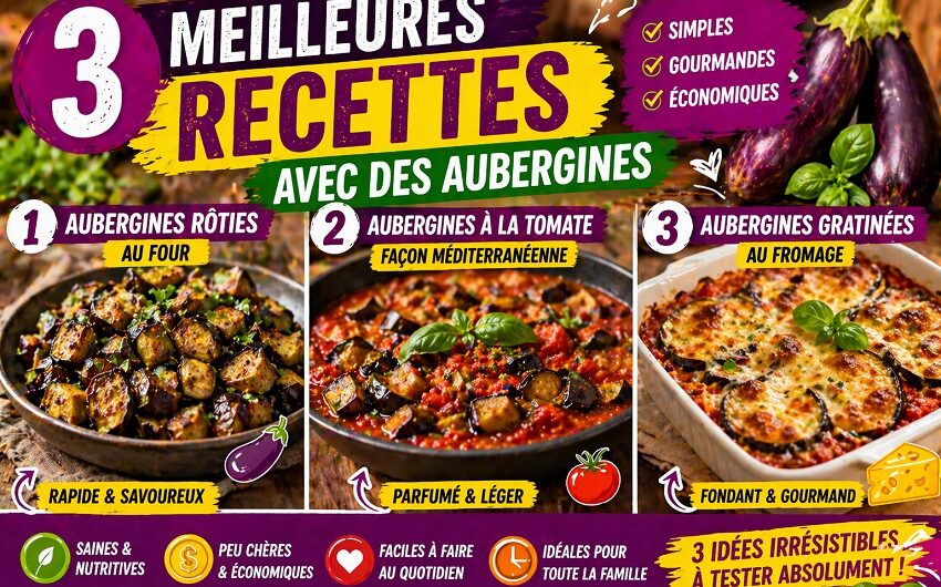 Recettes avec des aubergines