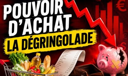 Le pouvoir d’achat la dégringolade