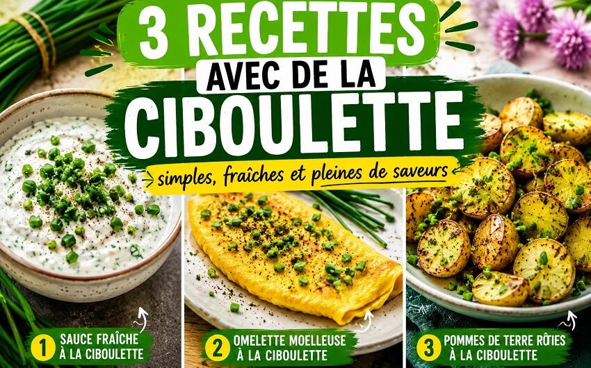 Recettes avec de la ciboulette