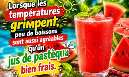 Le jus de pastèque