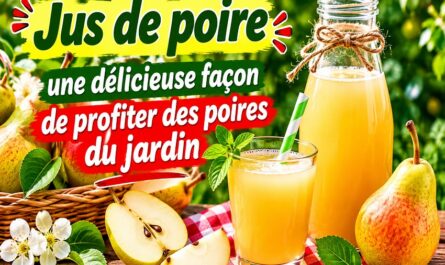 Jus de poire maison