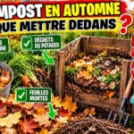 Compost en automne