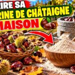 Faire sa farine de châtaigne