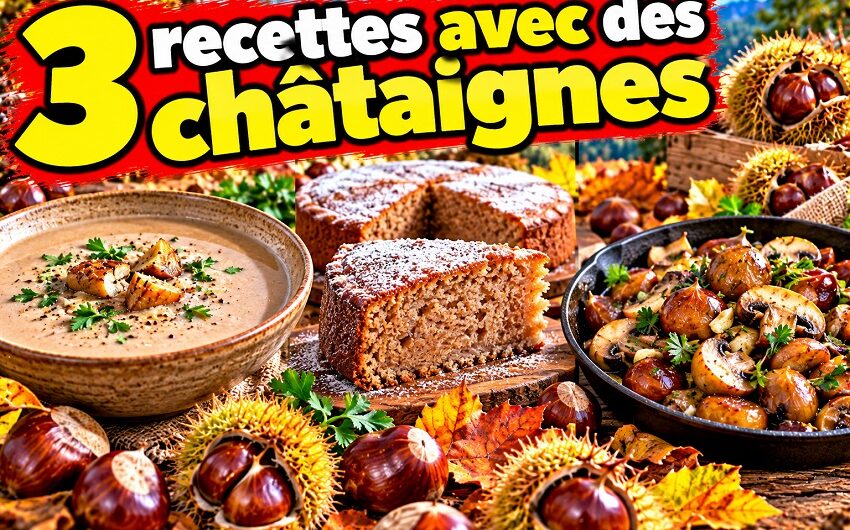 Recettes avec des châtaignes