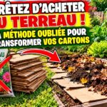 Transformer vos cartons en paillage